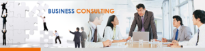 Business Consulting